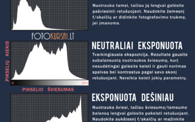 Kaip suprasti histogramą?