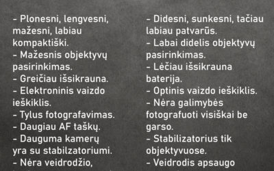 Kokį fotoaparatą rinktis: sisteminį ar veidrodinį?