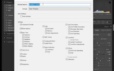 Adobe Lightroom Presets